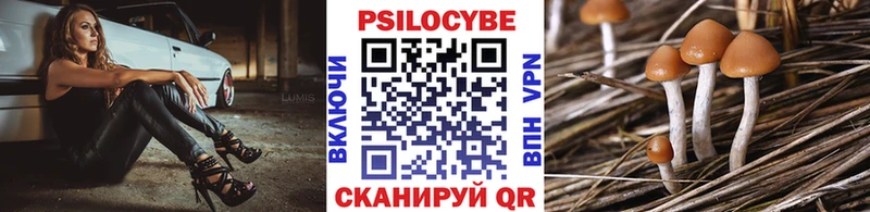 Галлюциногенные грибы Psilocybine cubensis  где купить наркоту  Любань 